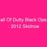 call-of-dutty-black-ops-ii-2012-skidrow-2
