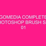 GOMEDIA Gps7010 Pro igo Primo Truck Europa COMPLETE PHOTOSHOP BRUSH SET 01 2025