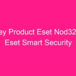 key-product-eset-nod32-eset-smart-security-2