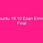 ubuntu-19-10-eoan-ermine-final-2