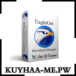 Download EagleGet Terbaru Full Version