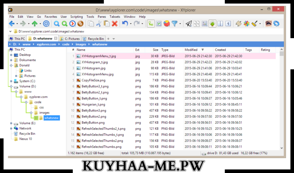 XYplorer Crack Pro with Serial Key Free Download