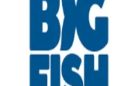 BigFish Games Full Window 507 Download 2025