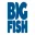 BigFish Games Full Window 507 Download 2025