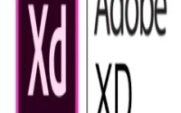 Adobe XD CC Essential Training Prototype and Share Online Courses Full Version Download [DL] 2025