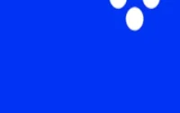 Movavi Video Suite Converter 24.3.1 Premium Full Version 2025